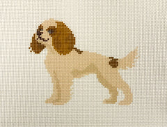 Bell House BH13 Cavalier King Charles
