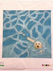 Froopy Designs FD352 Labradoodle Pool Fetch