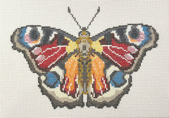Initial K Studio IKS-2080B Peacock Butterfly