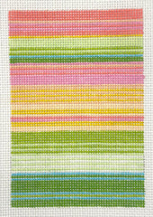 Elizabeth Crane Swartz NP-S50 Mini Stripe Passport Cover