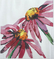 Anne Fisher SP03 Pink Cone Flower