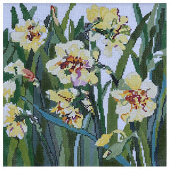 Carol Curtis # CU319