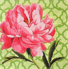 Kirk and Bradley # KB1378