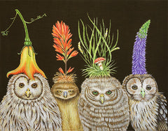 Melissa Shirley VS151 Highhat Owls