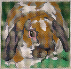 Barbara Russell # BR134