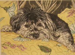 Barbara Russell # BR428