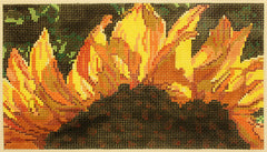 Dream House Ventures # DH3617