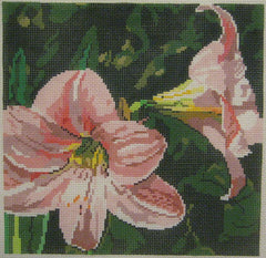 Dream House Ventures # DH3625