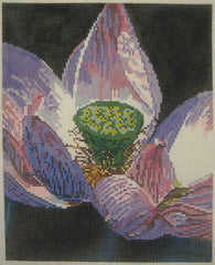 Dream House Ventures # DH3680