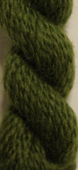 Planet Earth Wool # 053 Dill
