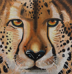 TRUNK SHOW: Colors of Praise AN538 Close-up Cheetah Face