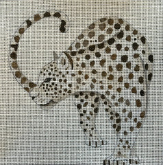 TRUNK SHOW: Colors of Praise IN718 Looking Leopard