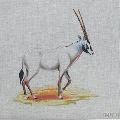 TRUNK SHOW: Colors of Praise AN479 White Oryx