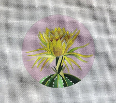 TRUNK SHOW: Colors of Praise IN527 Cactus Bloom