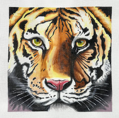 Colors of Praise AN535 Tiger Face