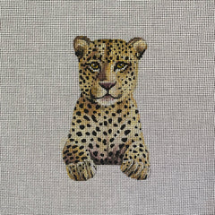 TRUNK SHOW: Colors of Praise IN717 Leopard Cub
