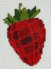 Atlantic Blue Canvas BUG-888 Disco Strawberry