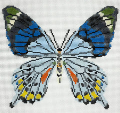 Initial K Studio IKS-2062B Large Blue Grey Butterfly