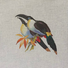 TRUNK SHOW: Colors of Praise AN506 Tucans