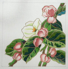 Shorebird M-422 Spring