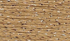 Silk Lame Braid #SL149 Desert Sand