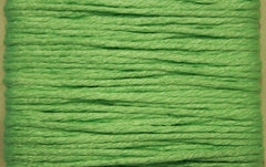 Splendor # 1022 Green Blush